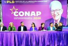 Llamado a que en el PLD se actué apegados a la disciplina, serenidad y madurez política