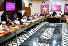 Múltiples encuentros provinciales del PLD