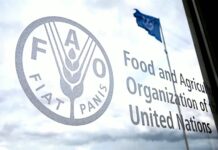 Foro Mundial sobre la Alimentación de la FAO