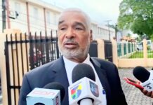 La Improvisación predominan en la actuación del PRM