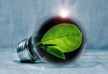 Día Mundial del Ahorro de Energía