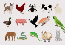 Día Mundial de los Animales