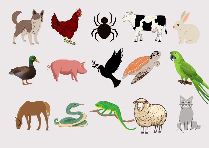 animales-dome-sticos
