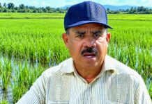 Reclamamos de protección de los productores de arroz