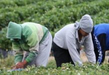 Día Internacional de las Mujeres Rurales